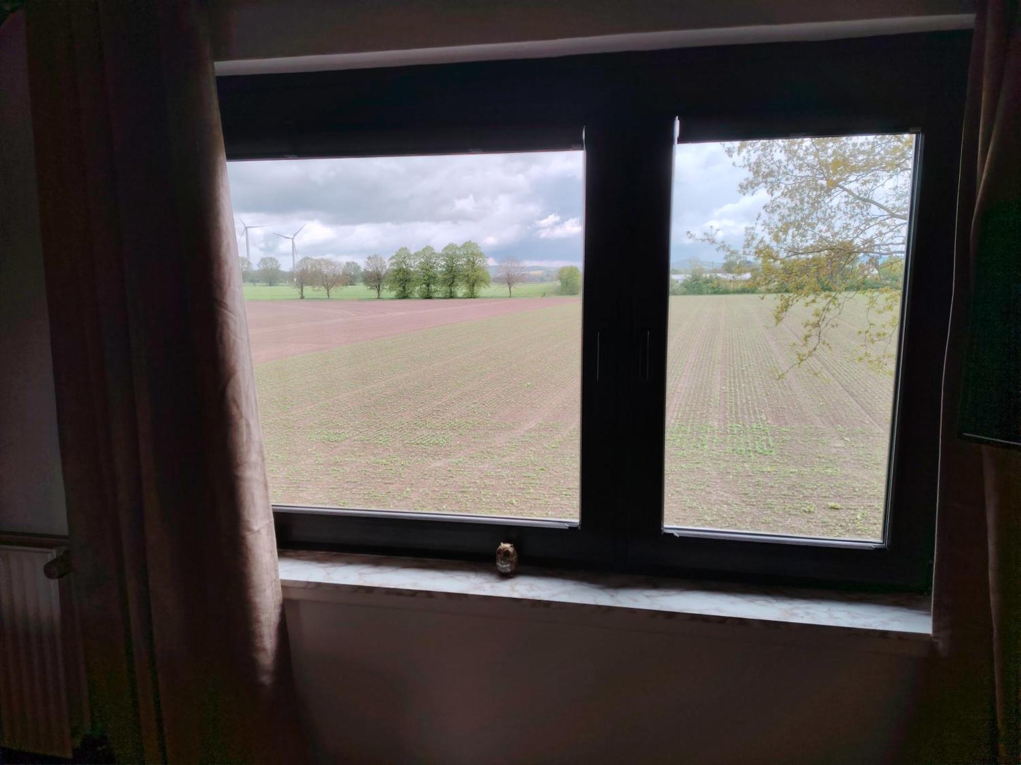 Brini'S Ferienwohnung Im Gruenen Lage (Lippe) Exterior foto